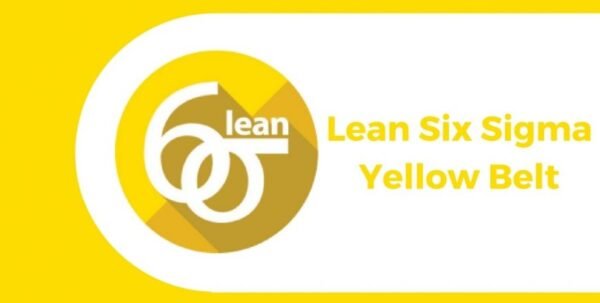 Yellow Lean Six Sigma - Image 2